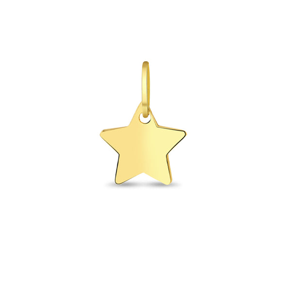 14k Gold Polished Star Girls Charm