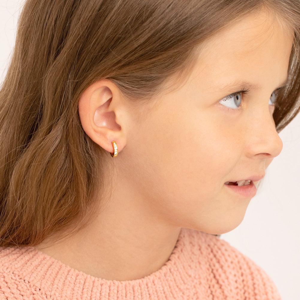 Buy Rani Pink Hoop Earrings Online